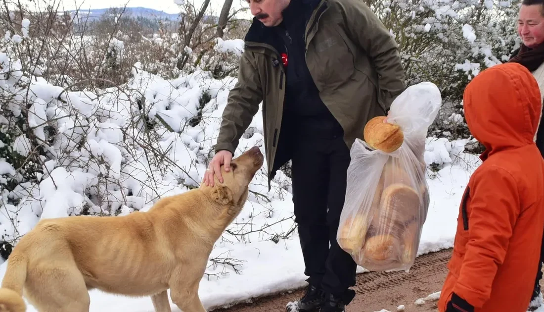 Bursa Yenişehir Belediye Başkanı