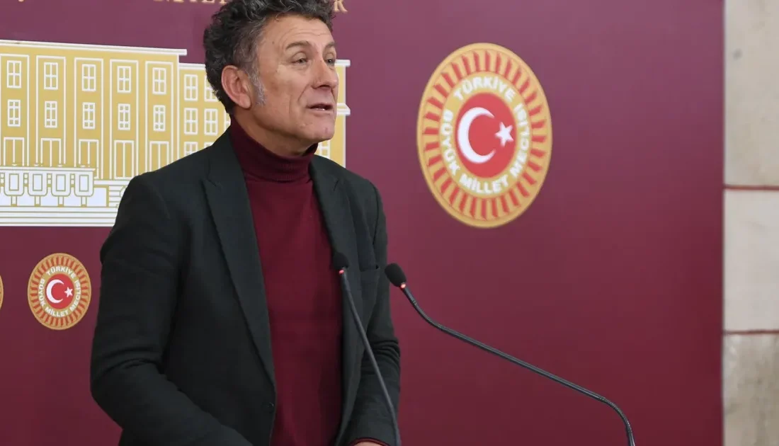 2024 yılı bitkisel ürünler