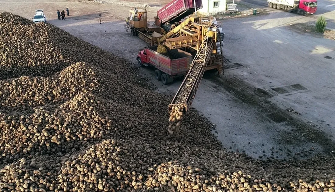 2023-2024 sezonunda, 16 bin