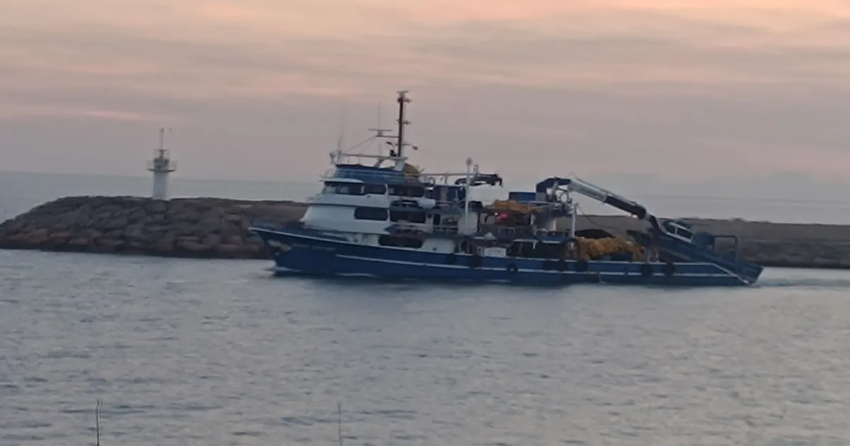 Saros'ta gırgır tekneleri tonlarca balık avlıyor