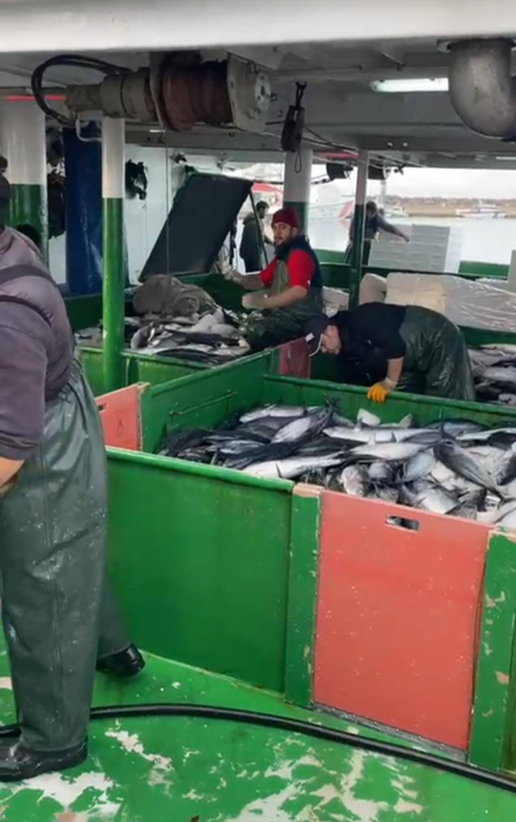 Saros'ta gırgır tekneleri tonlarca balık avlıyor