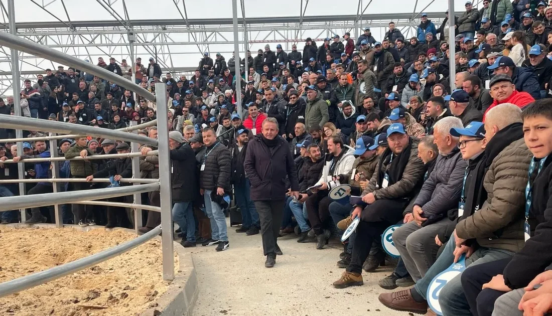 Çanakkale'nin Gelibolu ilçesinin Evreşe