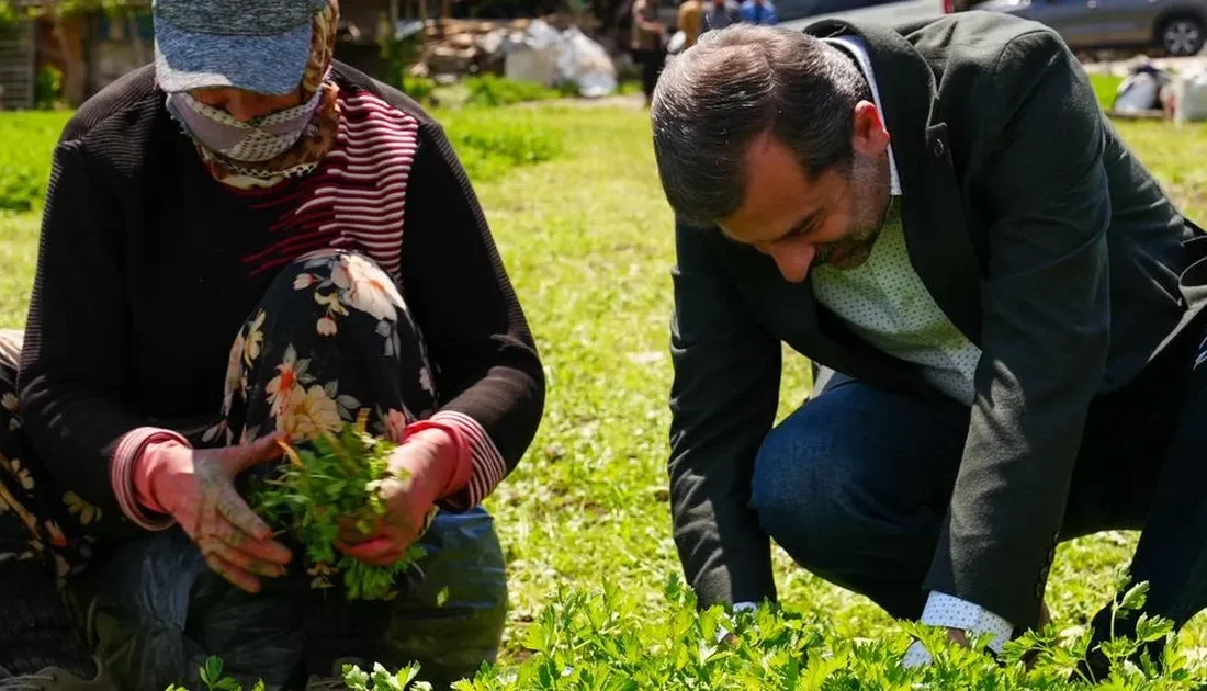 Bursa Gürsu Belediyesi ARGE