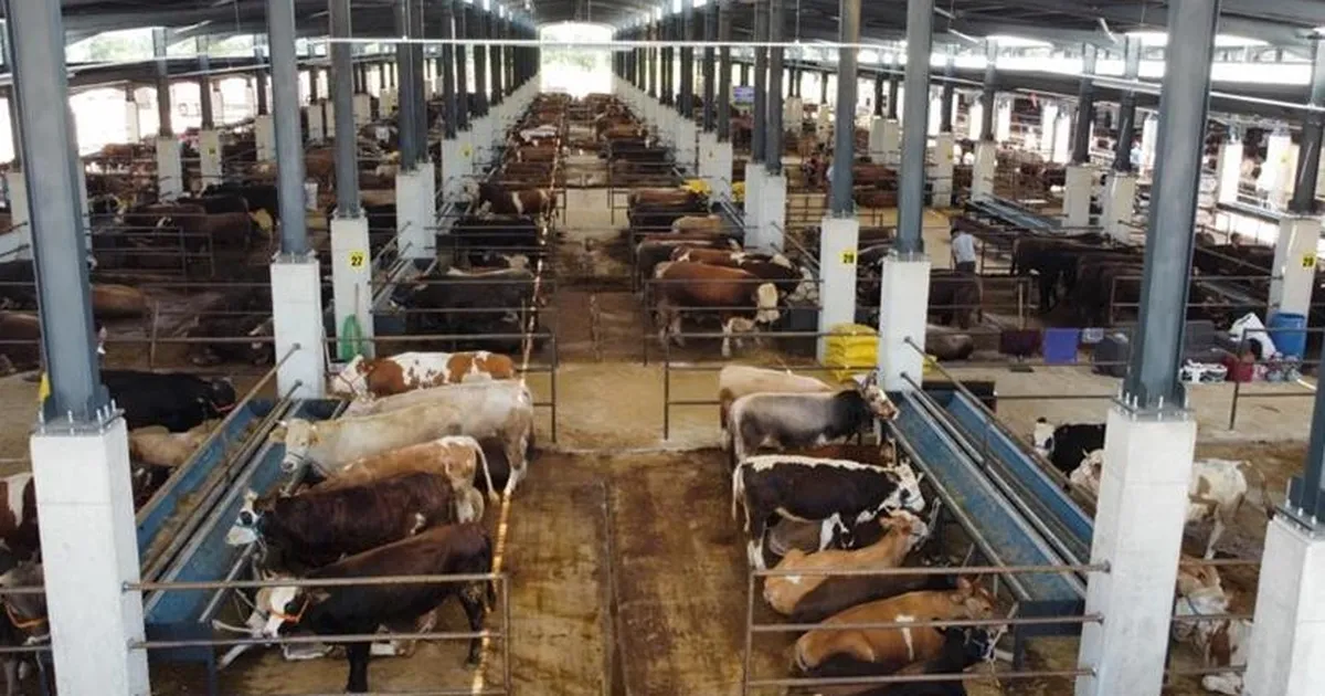 Bursa İnegöl'de hayvan pazarının kotra ihale tarihi netleşti