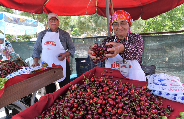 İzmir Bornova’da tarımsal üretime güçlü destek