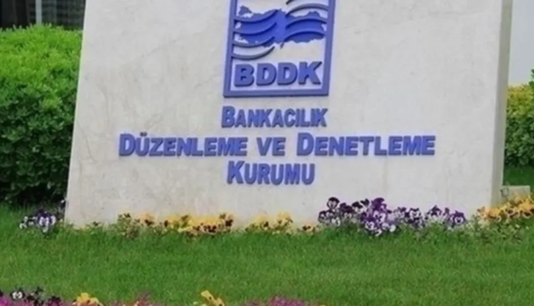 BDDK, yeni bir elektronik