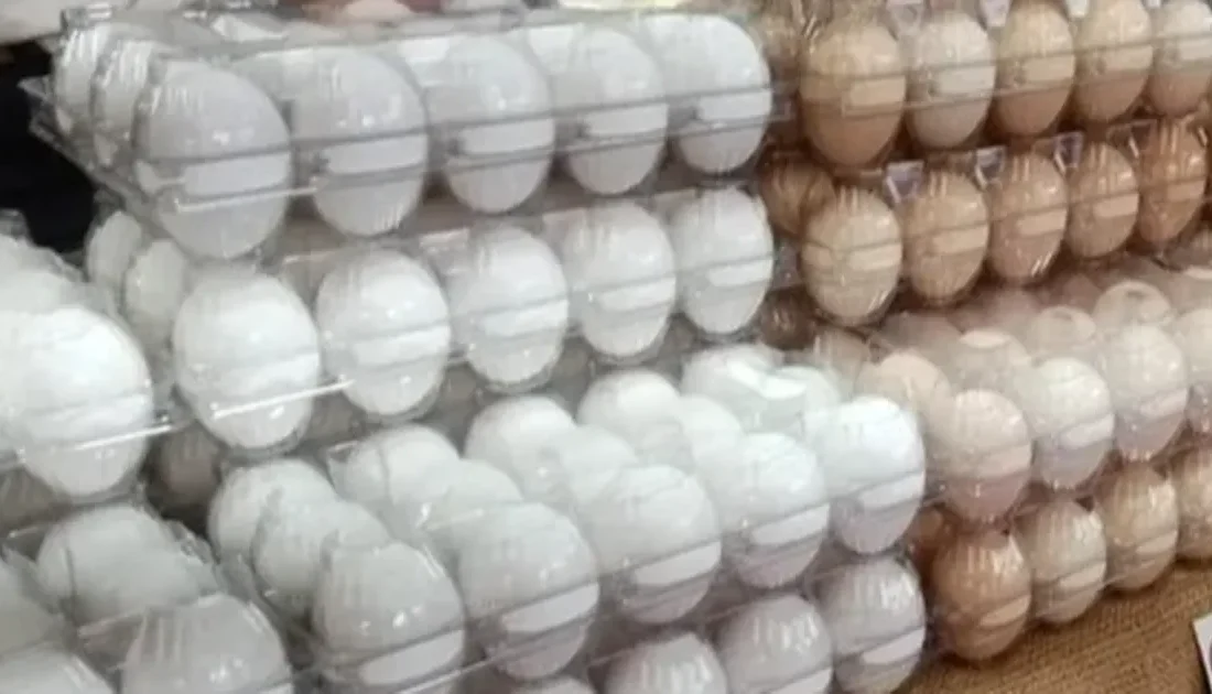 Cumhurbaşkanı Kararı ile Destekleme