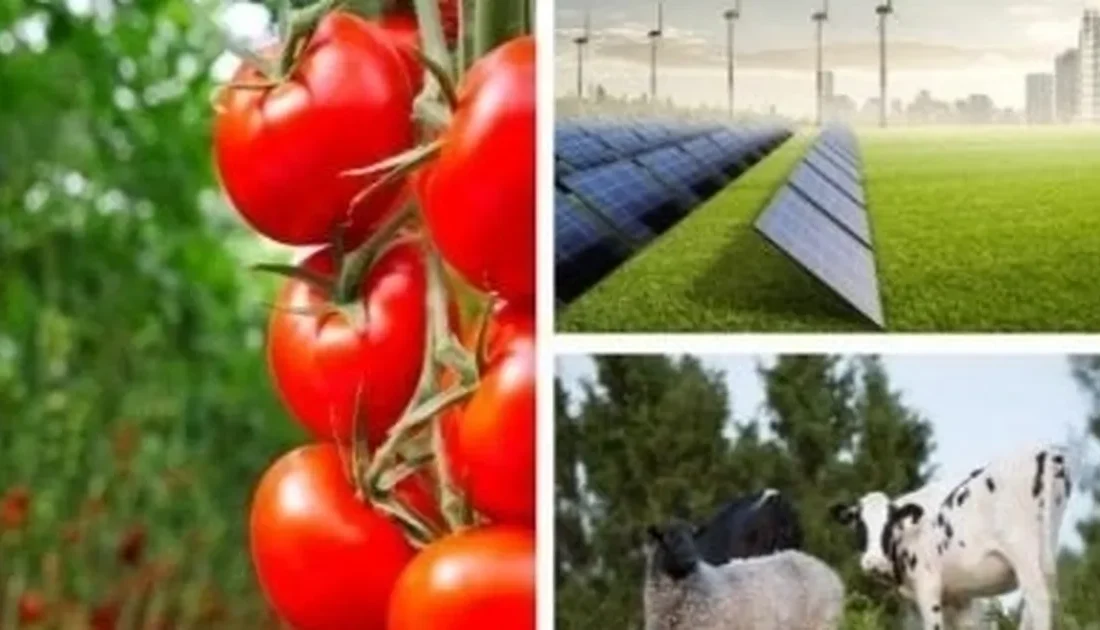 Tarım ve Orman Bakanlığı