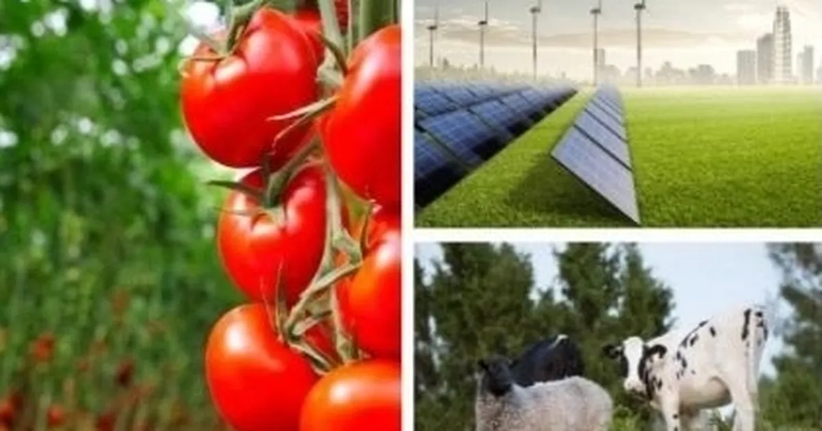 Tarımda yeni destek dönemi:  Yatırımlara yüzde 50 hibe fırsatı!