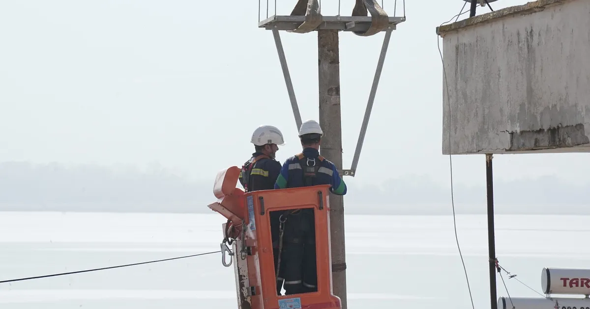 UEDAŞ elektrik direklerini can dostları için hazırladı