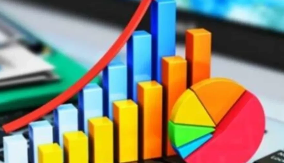 Türkiye İstatistik Kurumu, Yurt