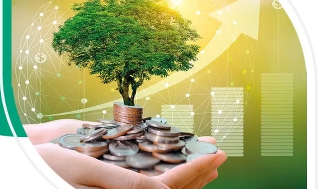 Bankacılık Düzenelem ve Denetleme
