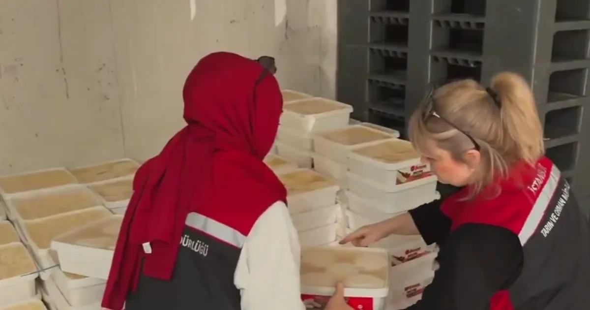 Bayrampaşa’da dev gıda denetimi… 35 ton peynire el kondu!