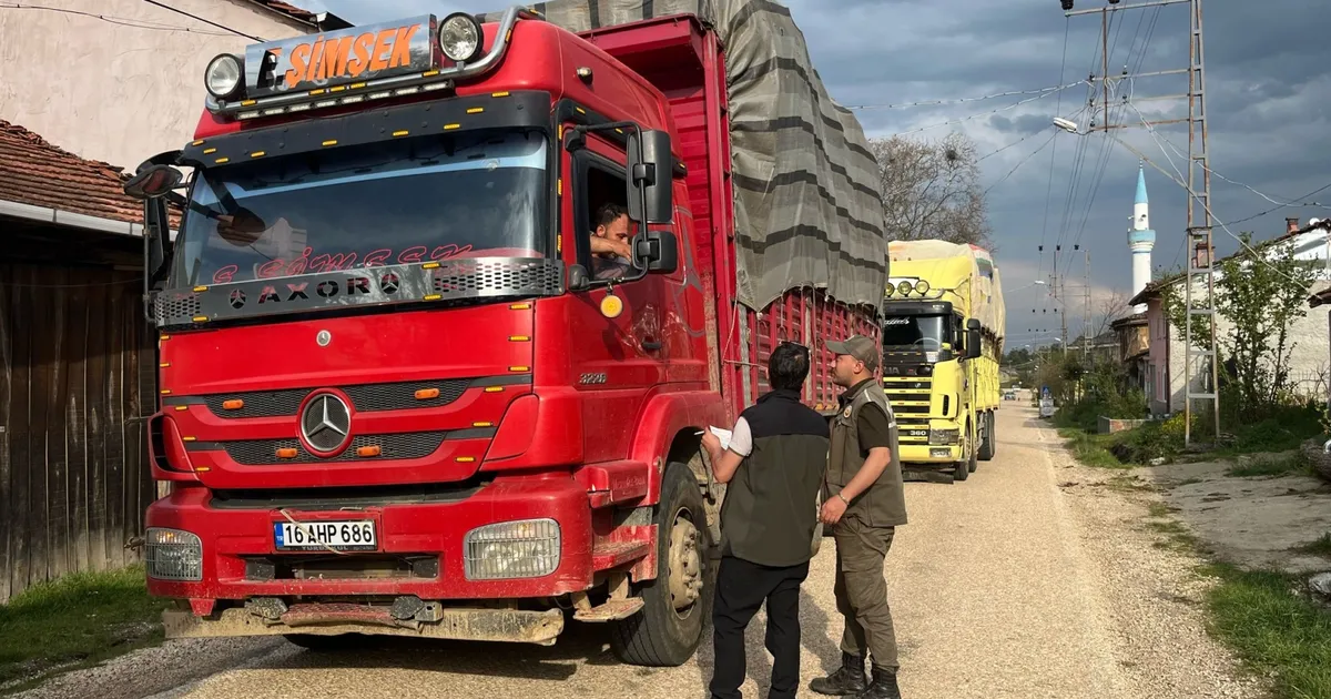 Bilecik Pazaryeri’nde orman emvali denetimi