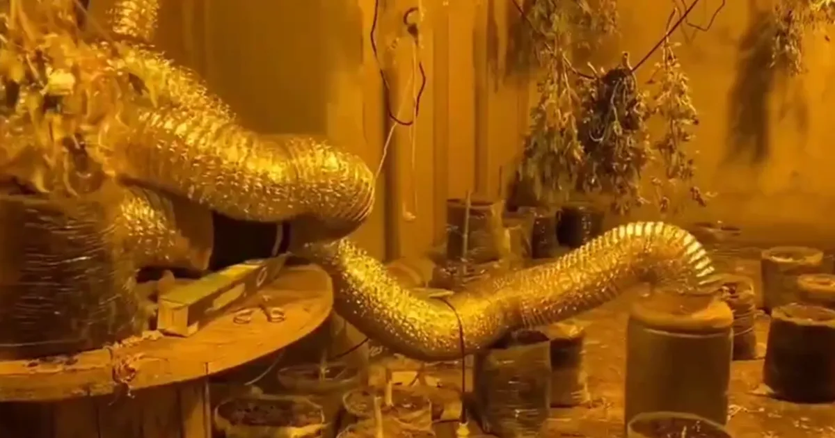 Bursa’da Jandarmadan uyuşturucu tacirlerine büyük darbe