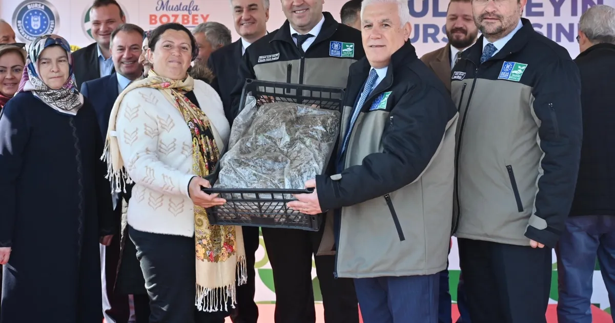 Bursa'dan çiftçiye 1,2 milyon adet çilek fidesi