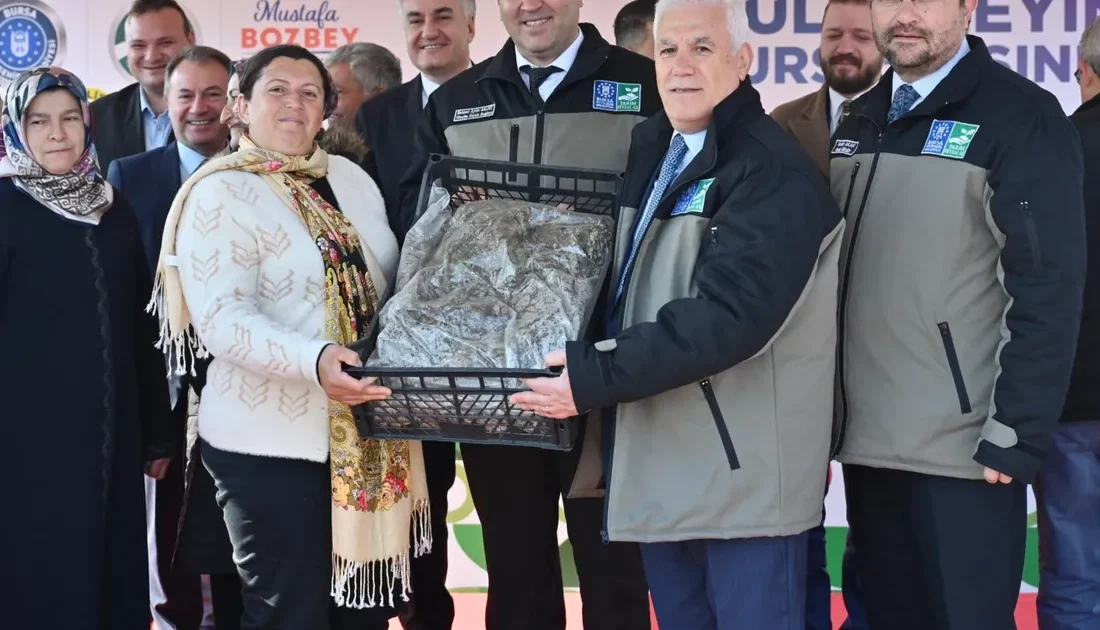 Bursa Büyükşehir Belediyesi, kentteki