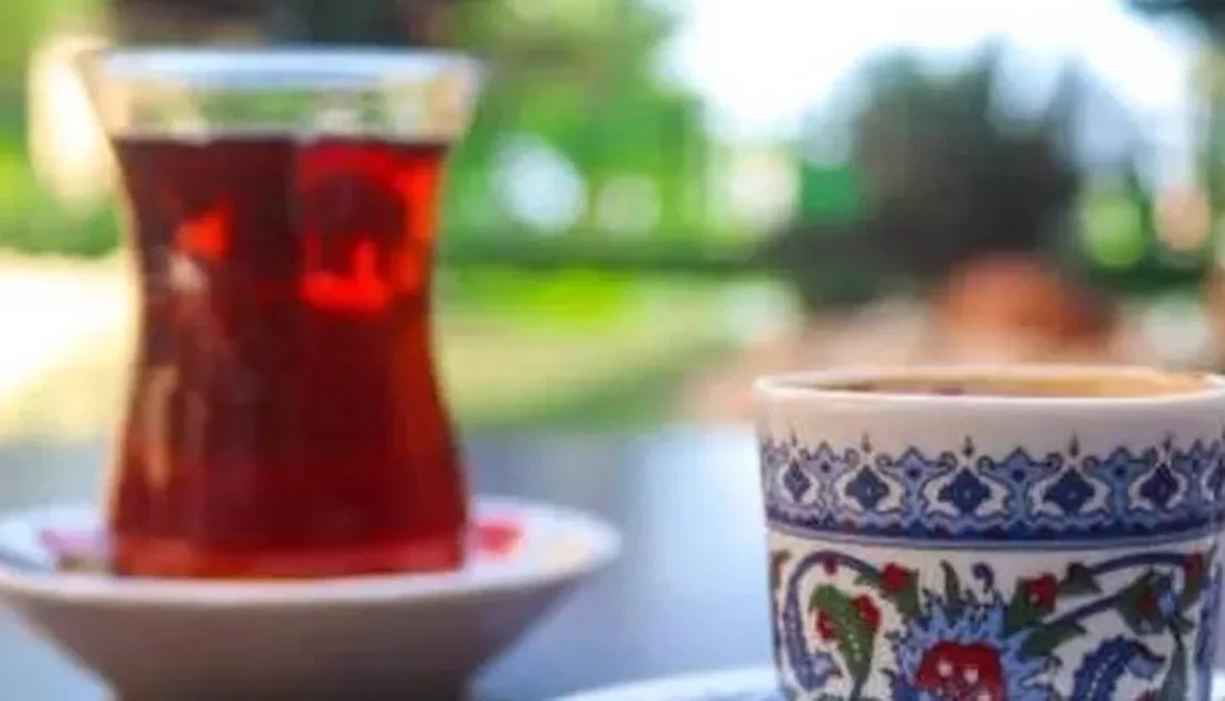 Denizli Büyükşehir Belediyesi iştiraki