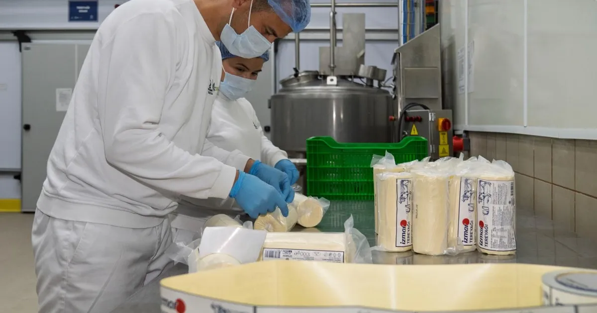 İzmir'de Süt Fabrikası’nda çarklar döndü, üreticinin yüzü güldü