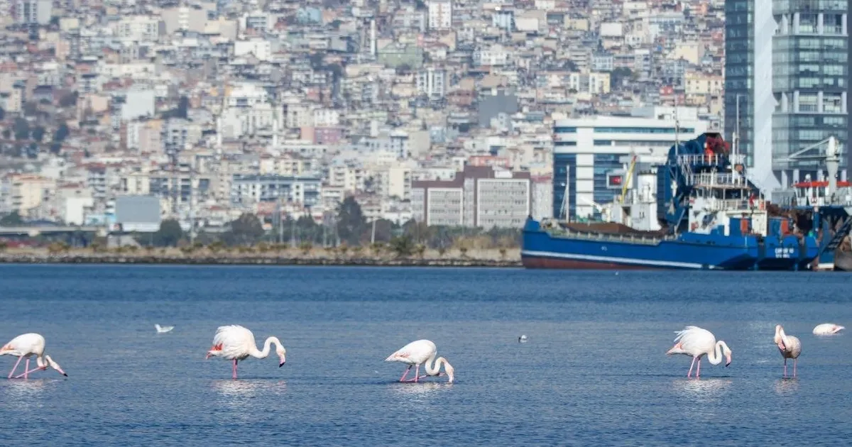 İzmir’in iklim krizi ile mücadelesi güçleniyor