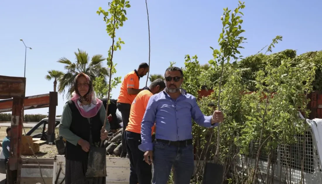 Mersin Büyükşehir Belediyesi Tarımsal
