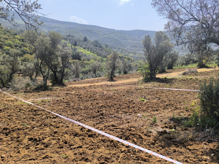 Mudanya'dan tarım arazilerinde hisseli satışlara karşı uyarı!