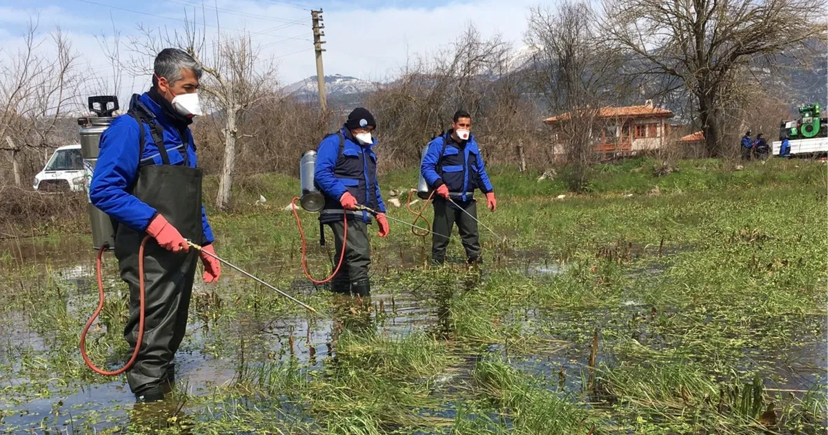 Muğla Büyükşehir’den sağlıklı kent adımları