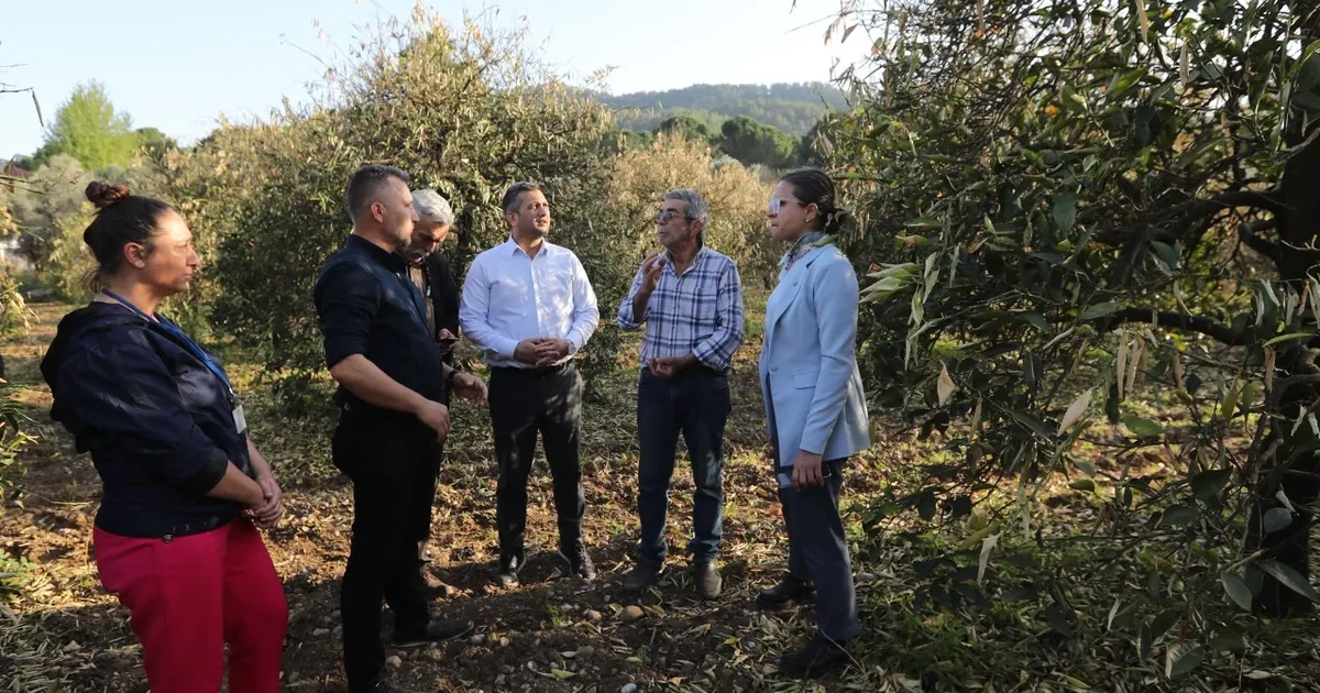 Muğla’da dondan etkilenen üreticilerine gübre dağıtıldı