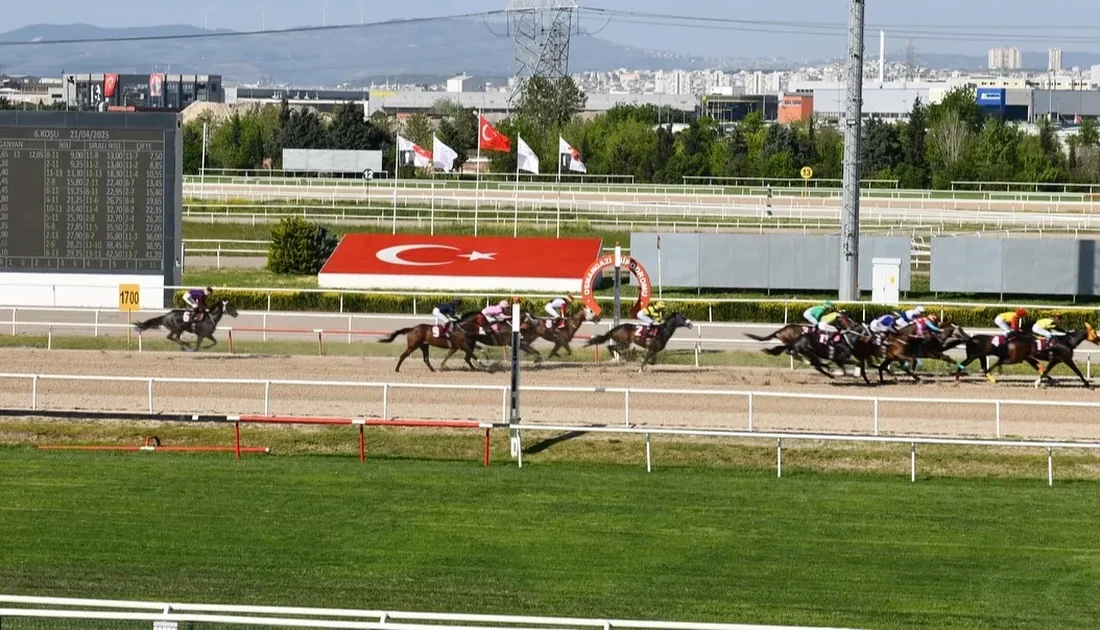 Türkiye Jokey Kulübü (TJK)
