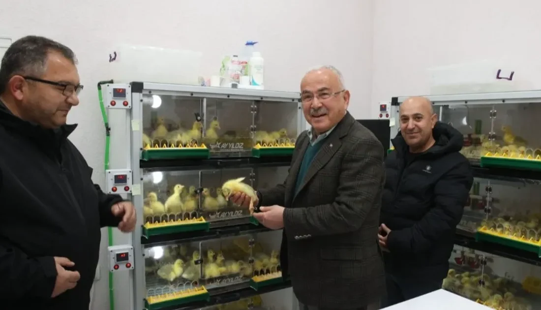 Ordu Büyükşehir Belediye Başkanı