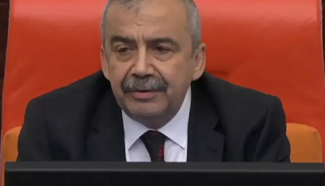 DEM Parti İstanbul Milletvekili
