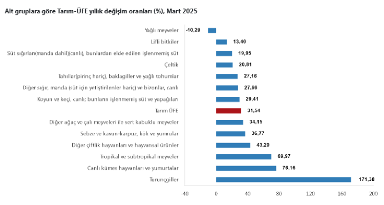 Tarım ÜFE'de en yüksek artış turunçgillerde... Turunçgiller 'Tarım'ın gözdesi