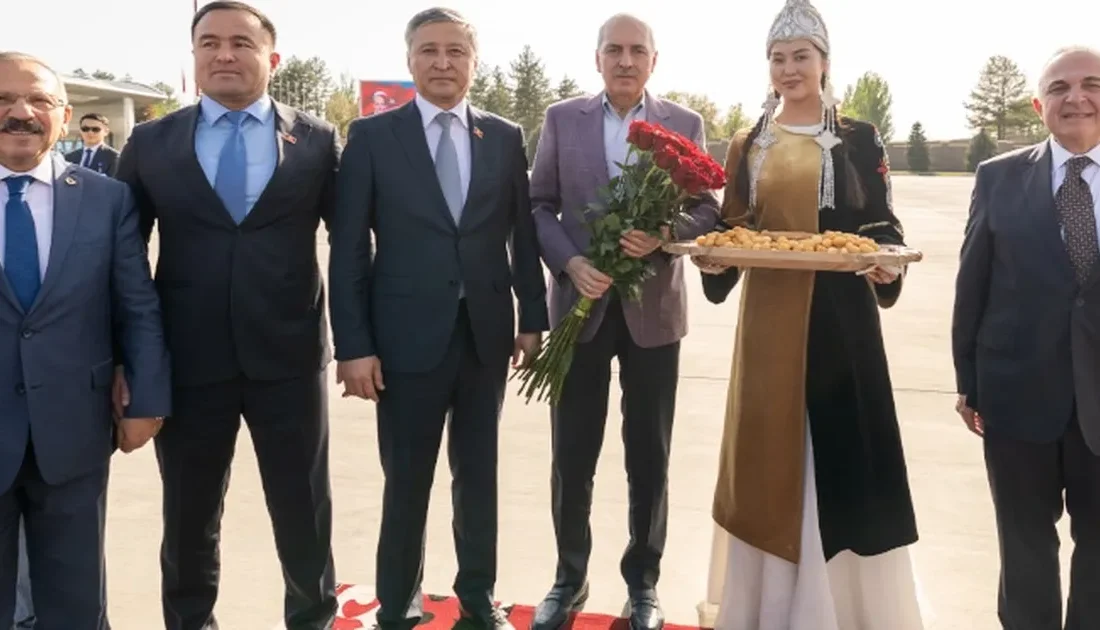 TBMM Numan Kurtulmuş, resmi