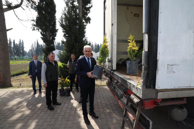 Türkiye'nin 100 bin fidanı Azerbaycan’a gönderildi