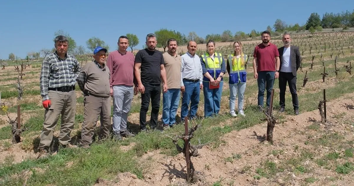 Zarar gören çiftçiye büyük destek