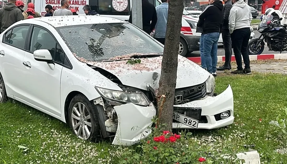 Türkiye’de 2024 yılında 1,4