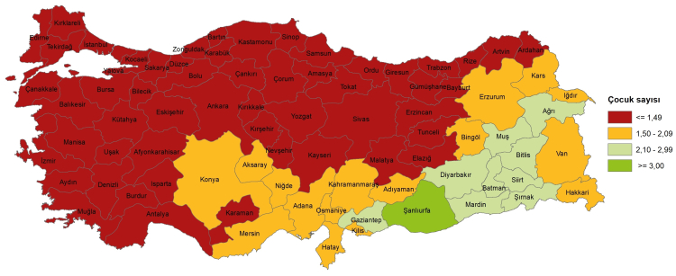 2024'ün doğum istatistikleri belli oldu... Doğurganlık hızı seviye altında!