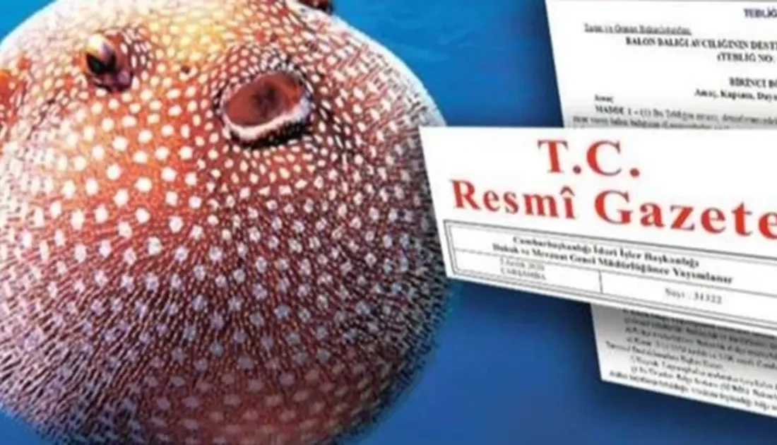 Bugünkü Resmi Gazete’de yayımlanan