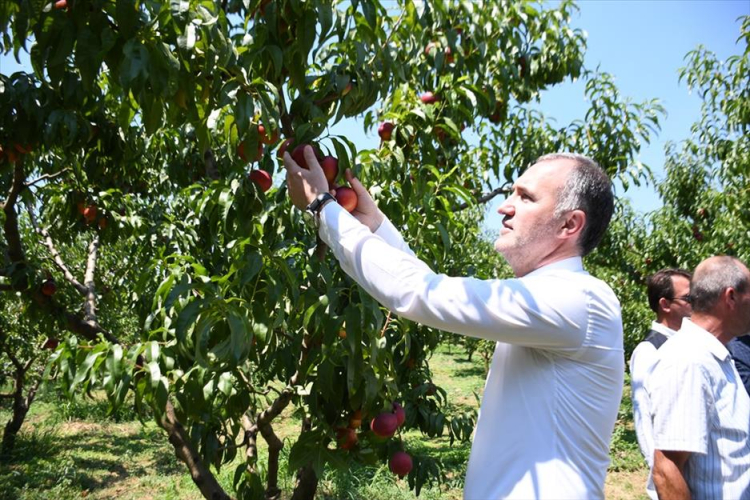 Başkan Alper Taban: Tarımda İnegöl modeli ile geleceğe yatırım