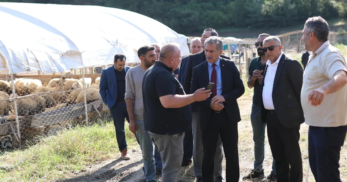 Bursa Gemlik'te Kurban Pazarı’nda satışlar başladı