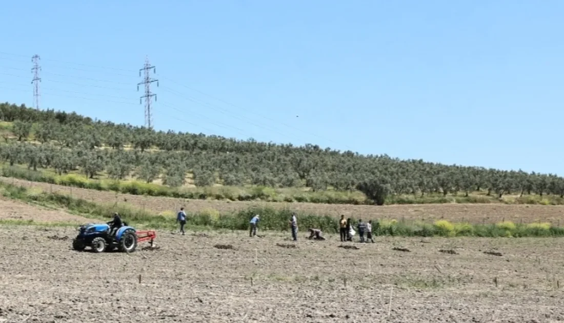 Bursa'da Nilüfer Belediyesi, Konaklı