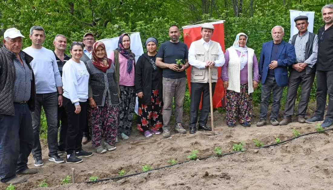 Bursa Osmangazi Belediyesi, tarımsal