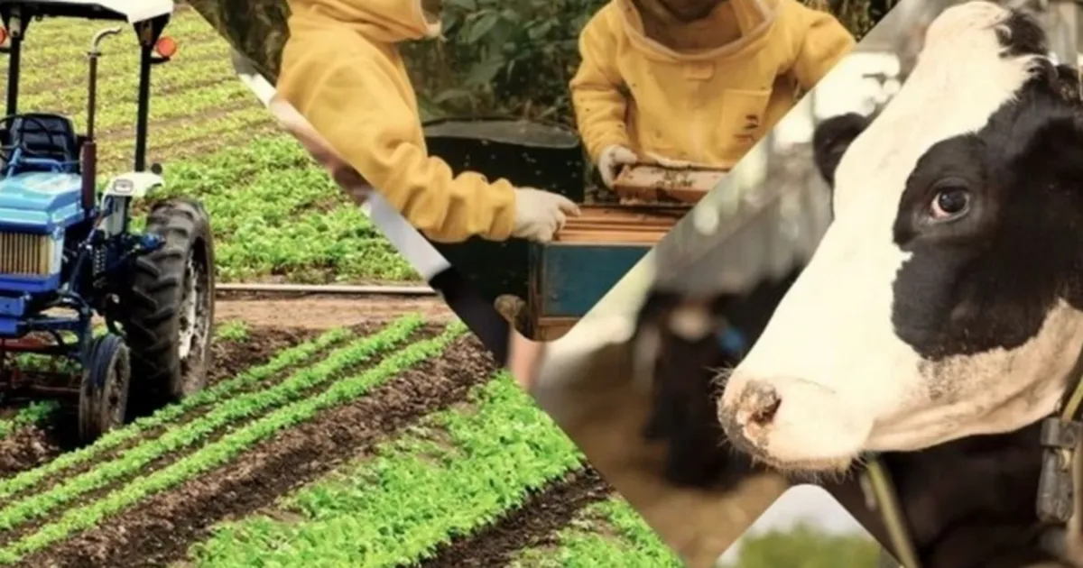 Çiftçiye 3,3 milyar TL'lik destek ödemeleri hesaplarda