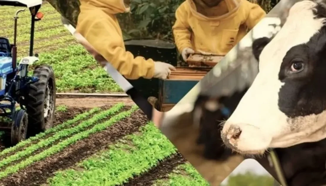 Tarım ve Orman Bakanı