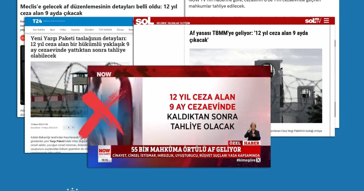 DMM: '12 yıl ceza alıp 9 ay yatacak' iddiası asılsız