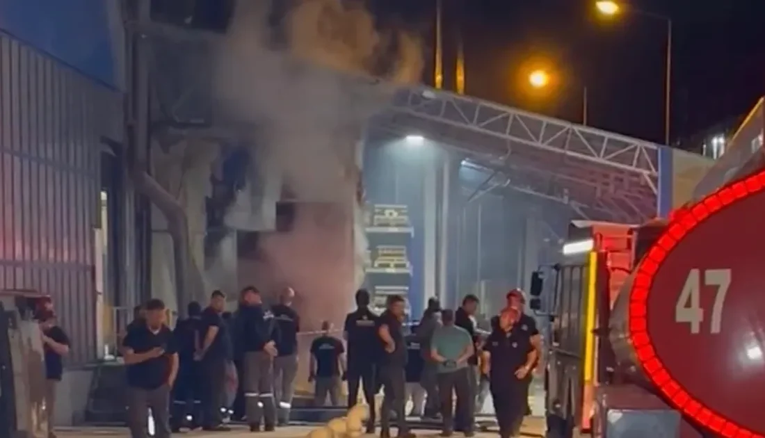 Düzce Beyköy 1. Organize