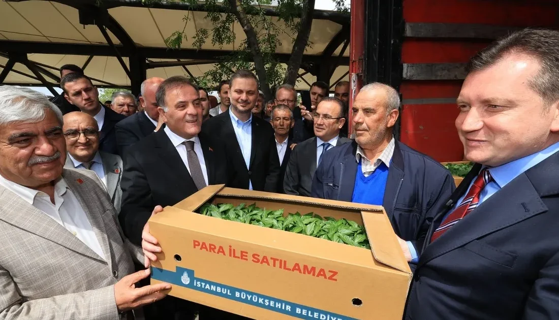İstanbul Büyükşehir Belediyesi (İBB),