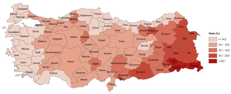 İstatistiklerle 'Gençlik Raporu' yayımlandı... Türkiye, AB’den daha genç!