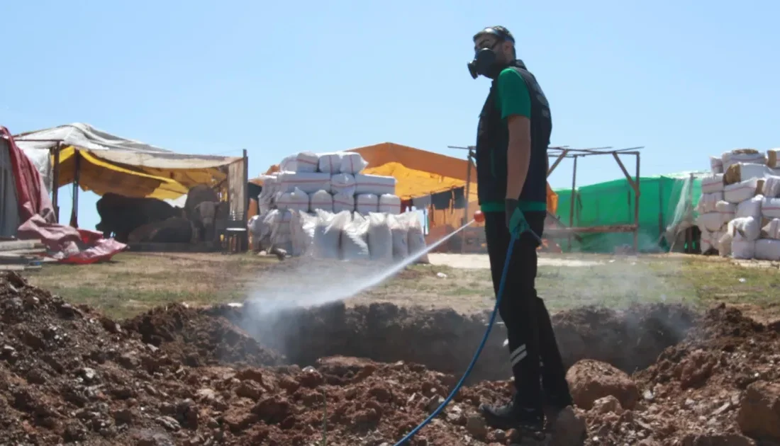 Kocaeli Büyükşehir Belediyesi, Kocaeli