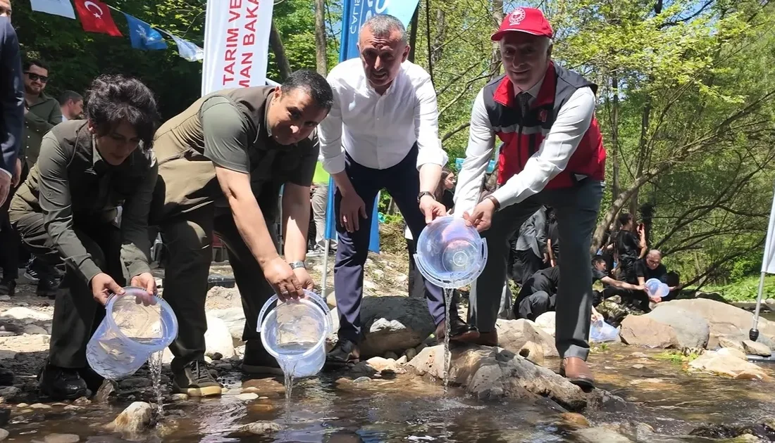 Kocaeli Büyükşehir Belediyesi, İzmit